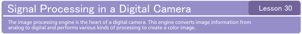 Signal Processing in a Digital Camera