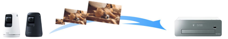 HDペットカメラの動画をディーガに転送