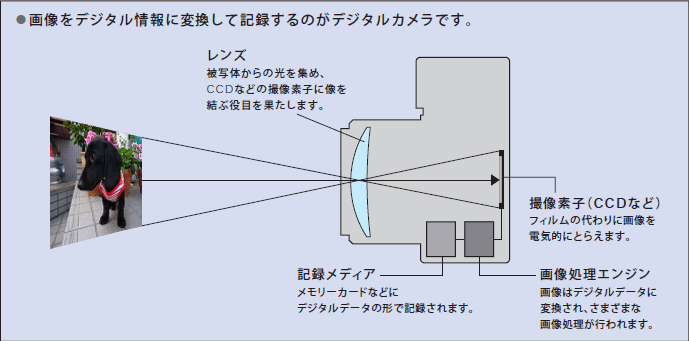 カメラの原理と種類 第一回 デジタルカメラ講座 デジタルカメラ Lumix ルミックス お客様サポート Panasonic