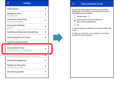 tws_setting_voiceassistant