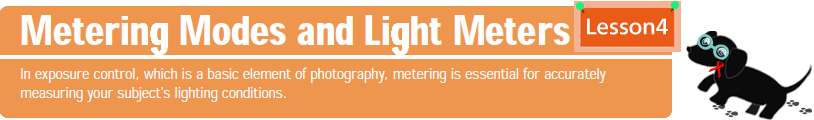 metering modes and light meters