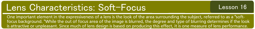 Lens Characteristics: Soft-Focus