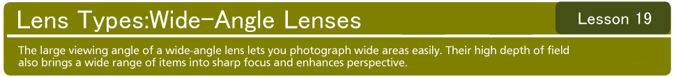 Lens Types:Wide-Angle Lenses