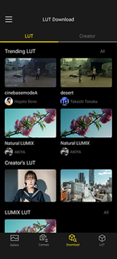 Download LUT icon