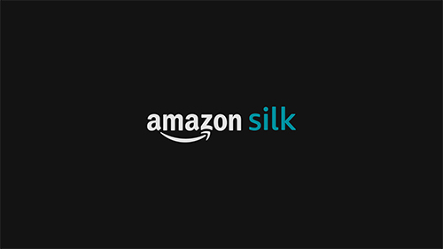 「amazon silk」という表示が画面いっぱいに表示されてブラウザが起動した状態画像