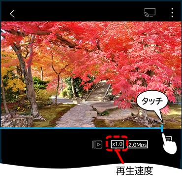 番組視聴画面の下に表示される青いバーをタッチ